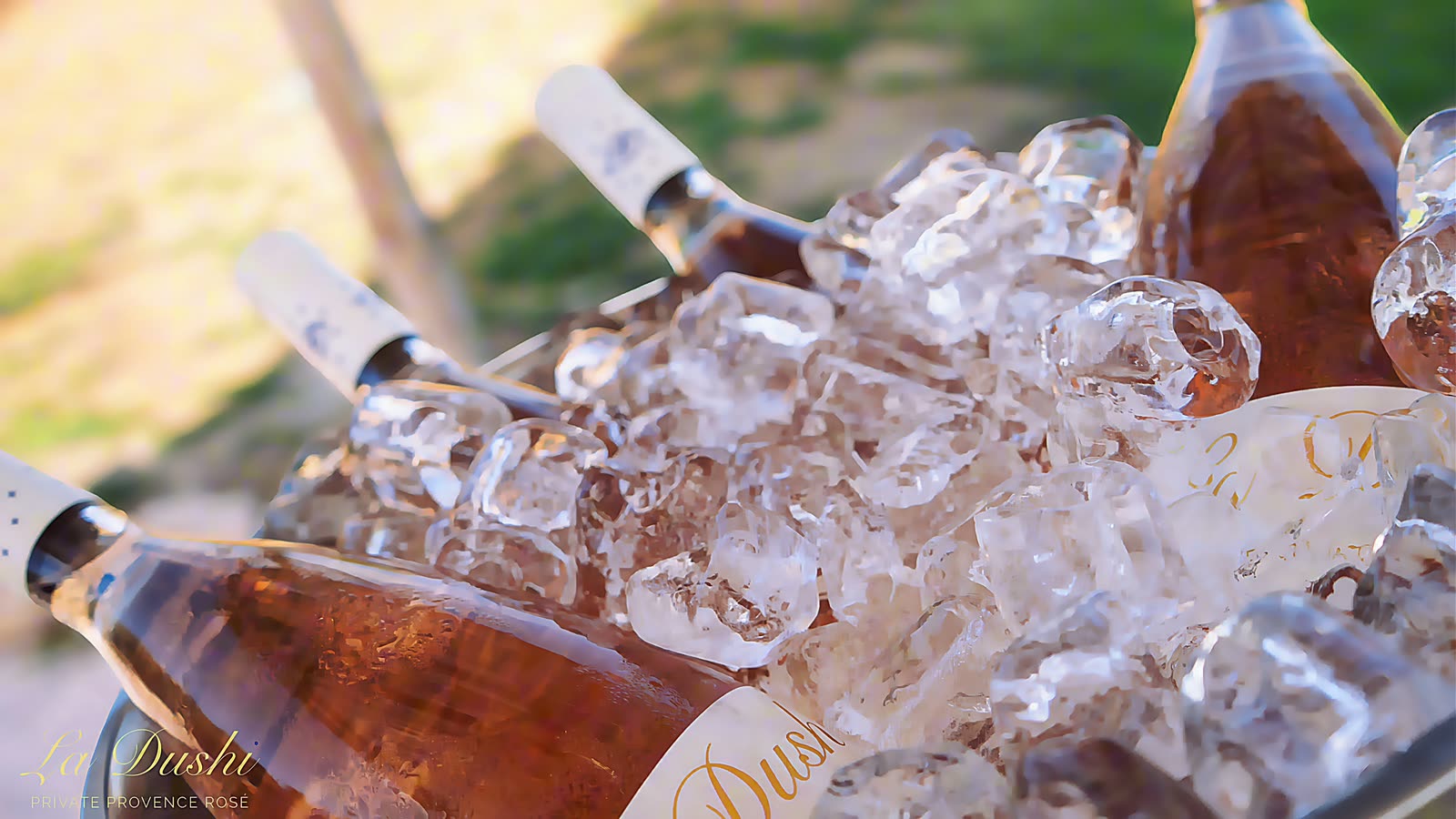 Bottles of La Dushi rosé resting in a bucket of crushed ice.